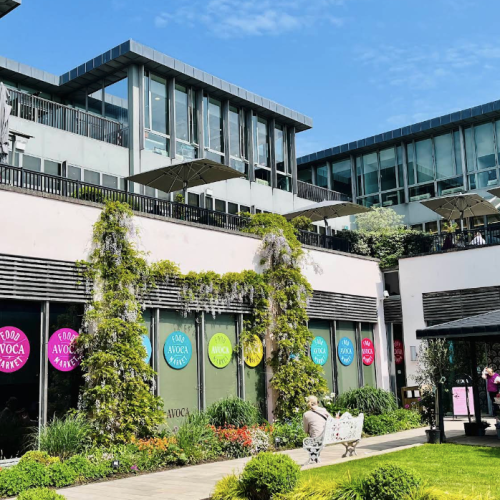 Screenshot 2026-03-11 at 11.25.55